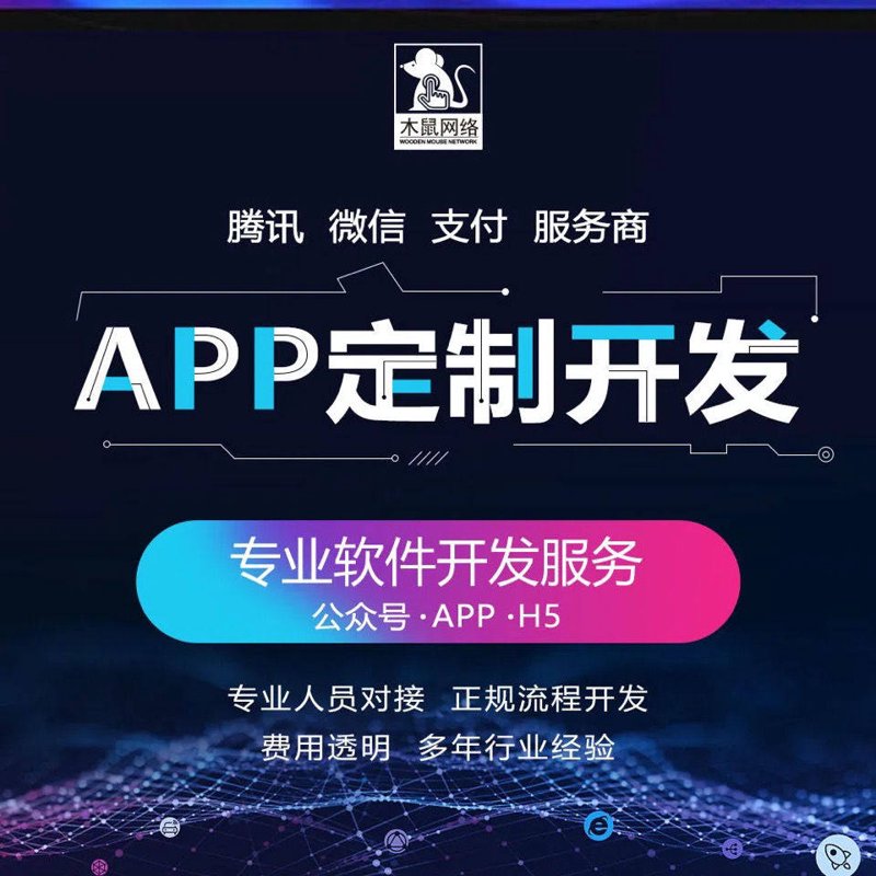武汉软件开发：优势与劣势对比解析